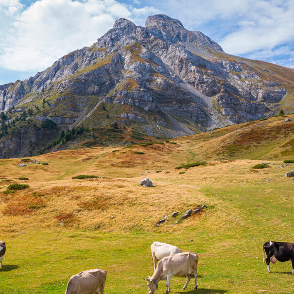 Durmitor mountains