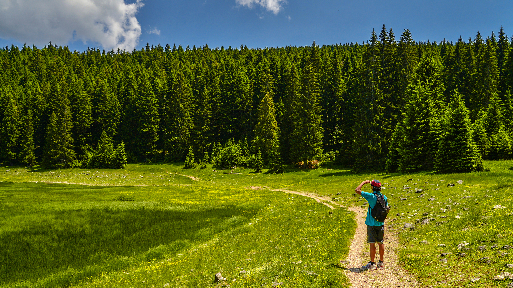 Durmitor National Park